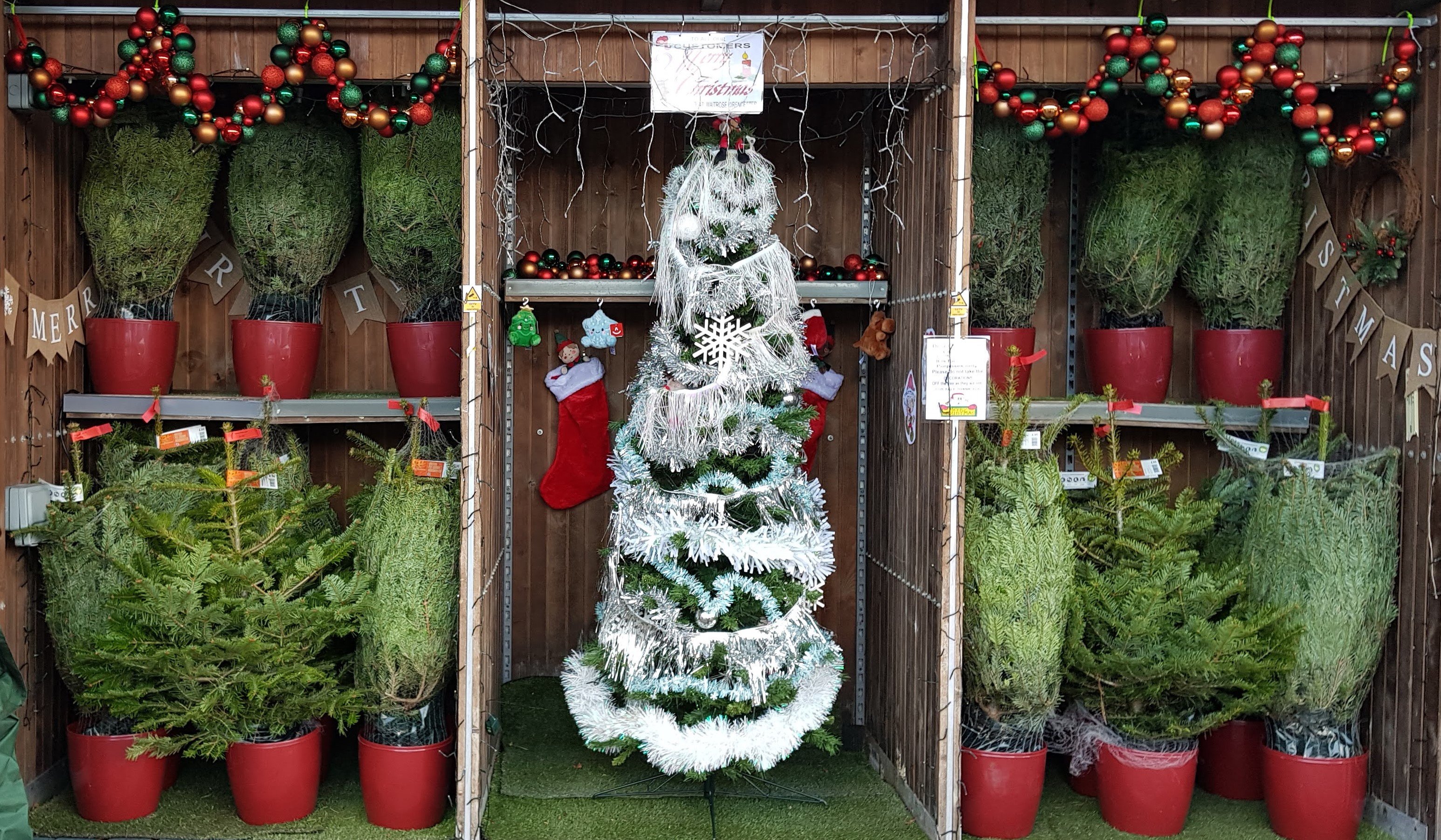 Spare Tree Country Matters by Arrowsmith: Spare that Tree – Ciren Scene